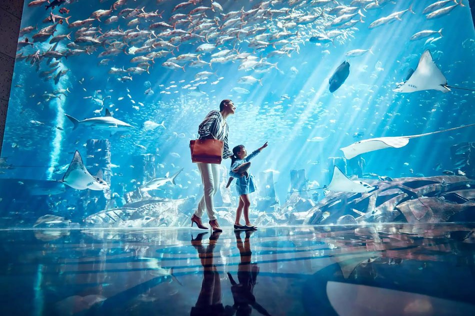 Lost Chambers Aquarium