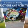 Top 8 Essential Eco-Friendly Attractions and Activities in Dubai