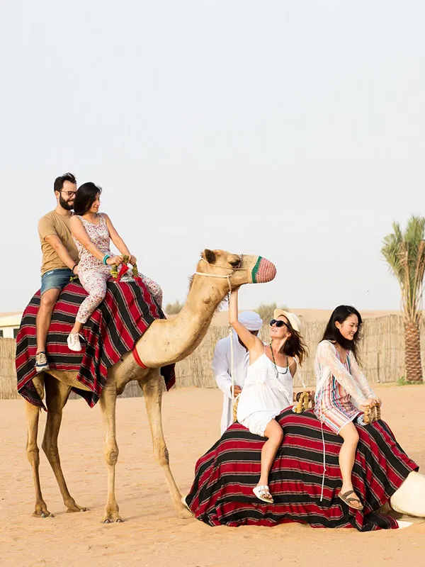 camel-ride-dubai