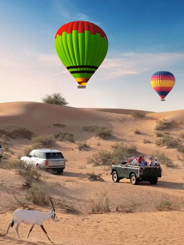 view-of-dubai-desert-desert-animals-and-the-sunrise