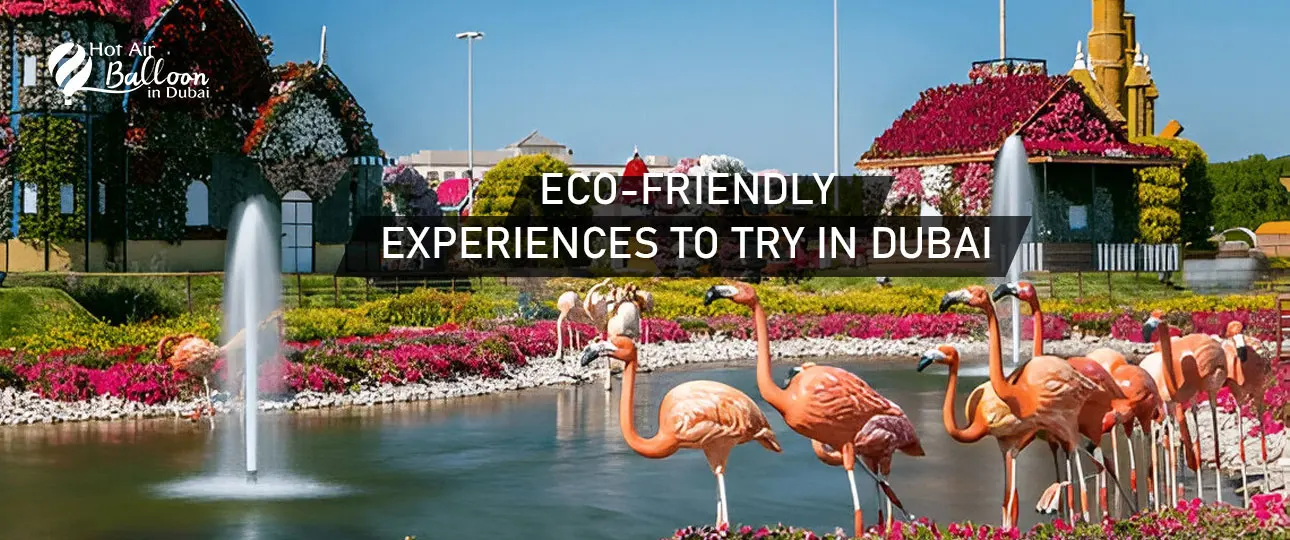 Eco-Friendly Experiences in Dubai